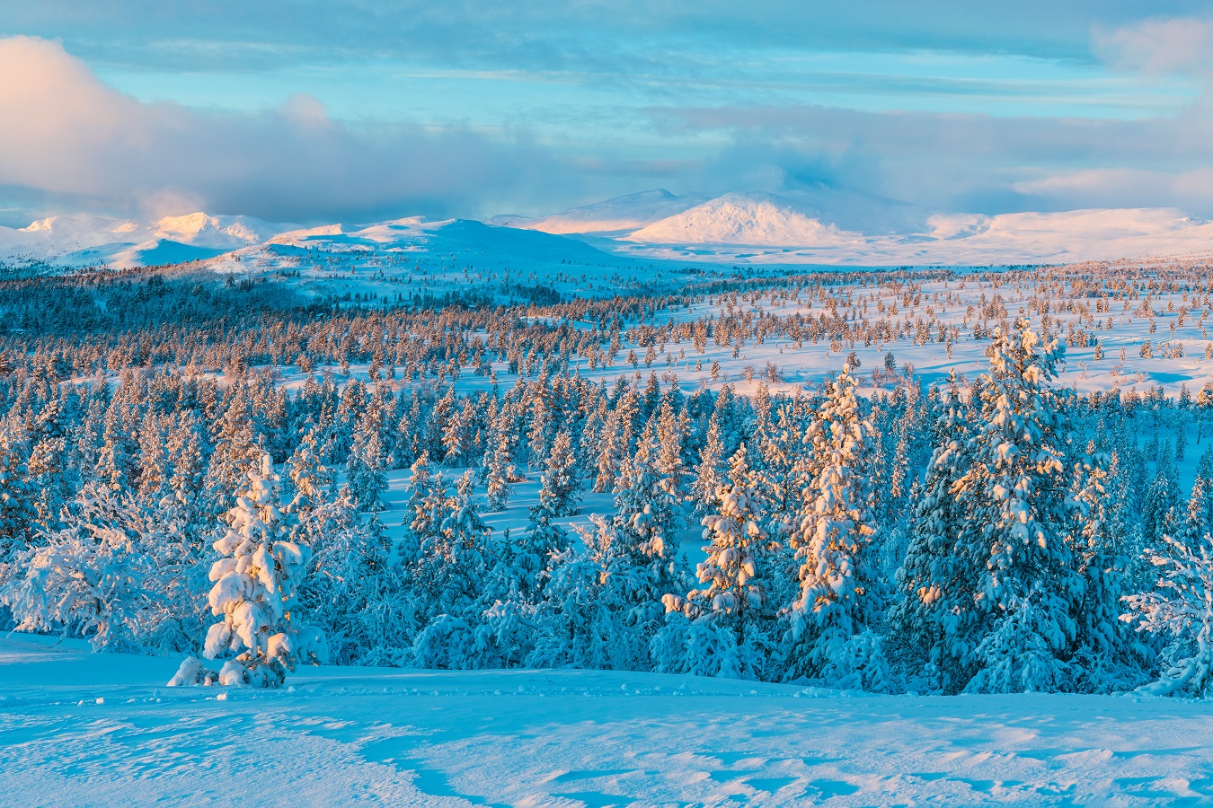 salla-laponia-monoparental-2026